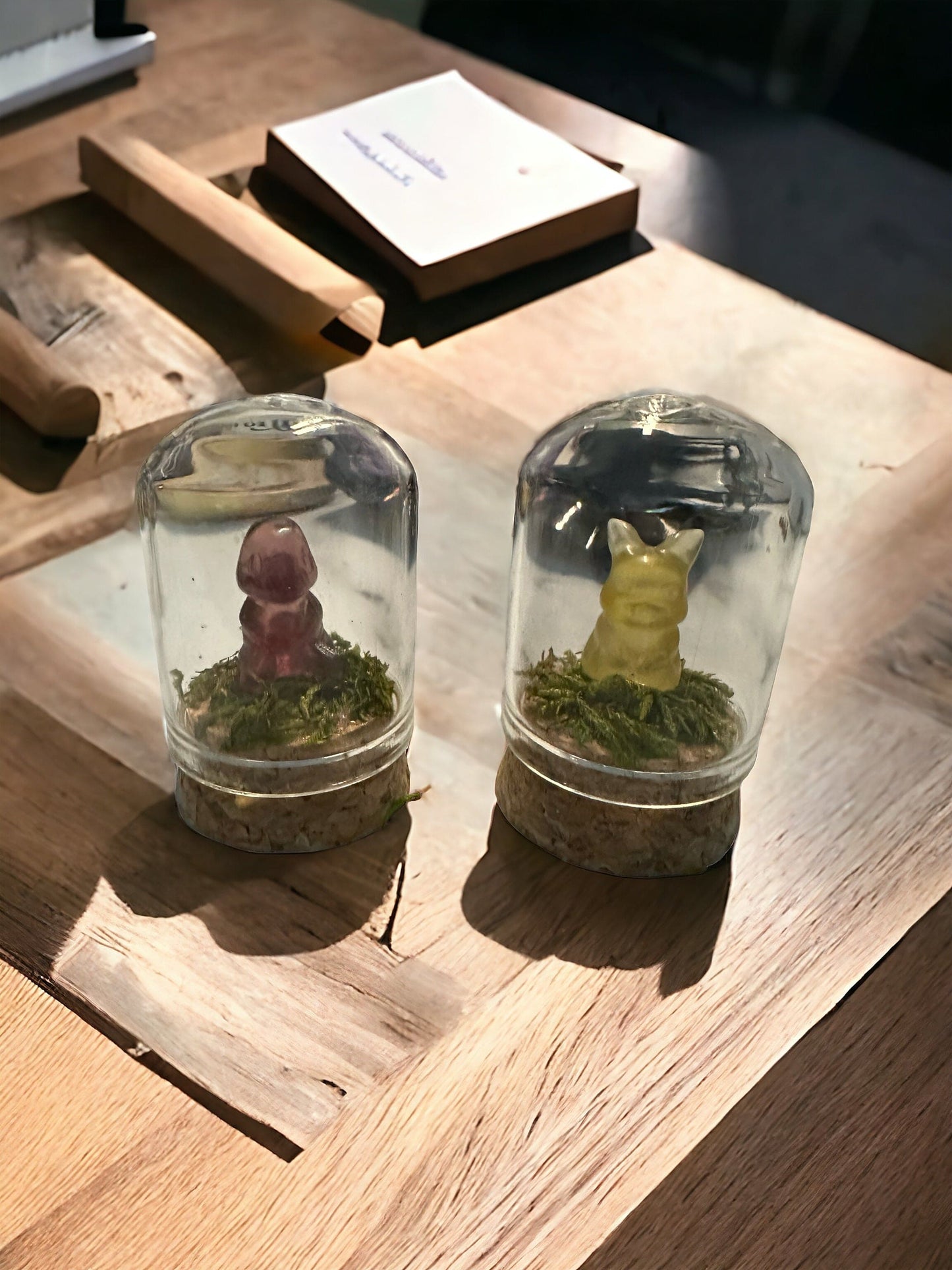 Pokémon Terrarium