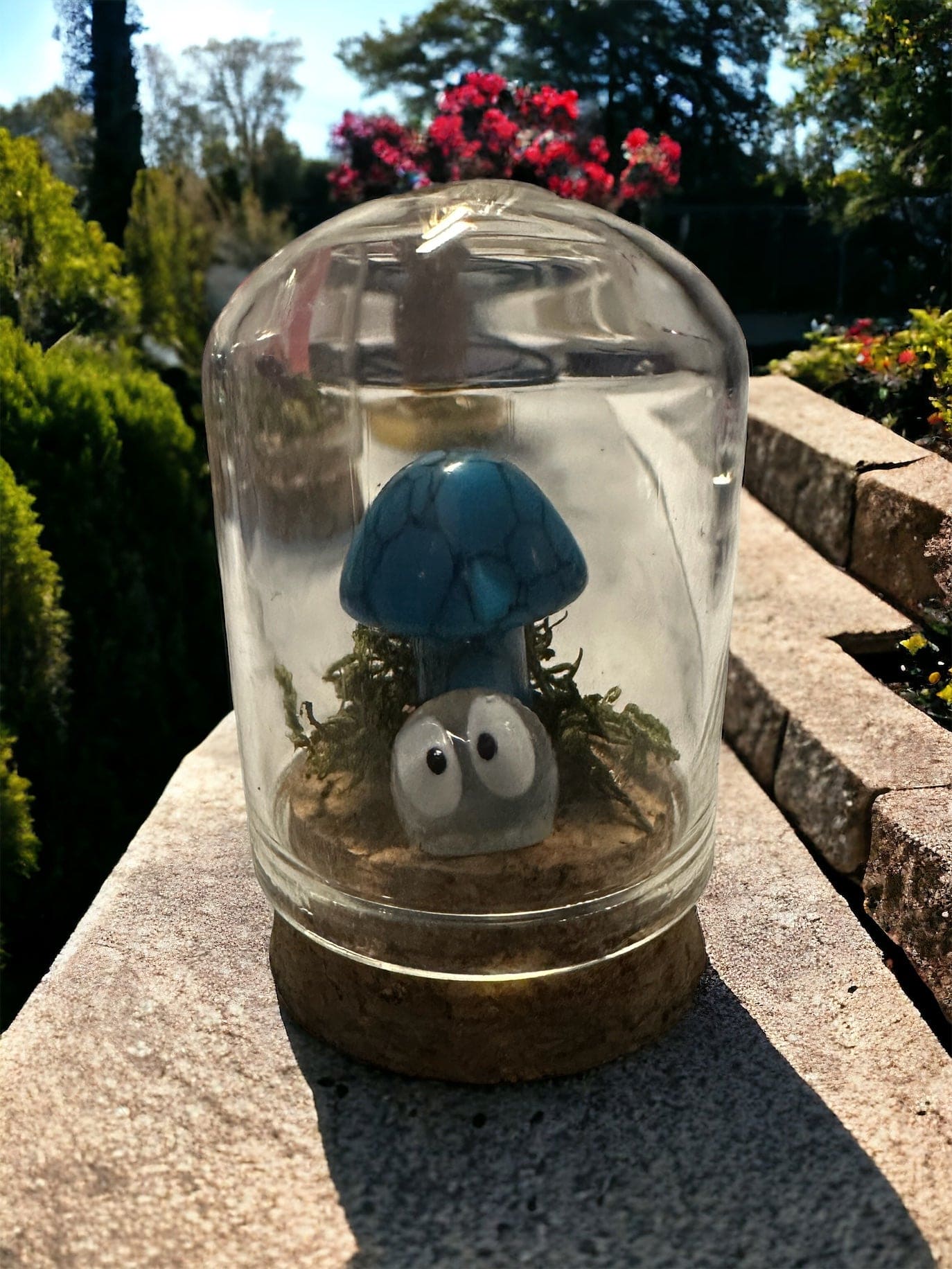 Mushroom Terrariums